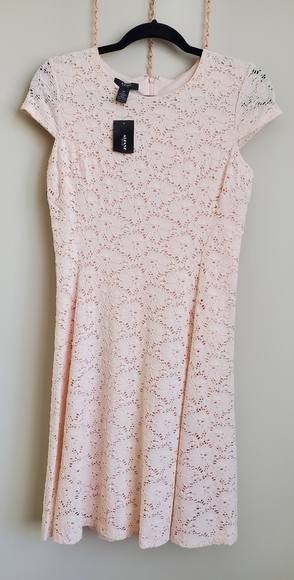 Alfani Dresses & Skirts - Alfani petite lace dress NWT